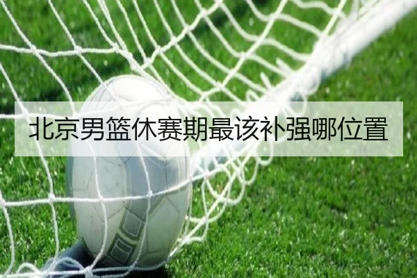 北京男篮休赛期最该补强哪位置